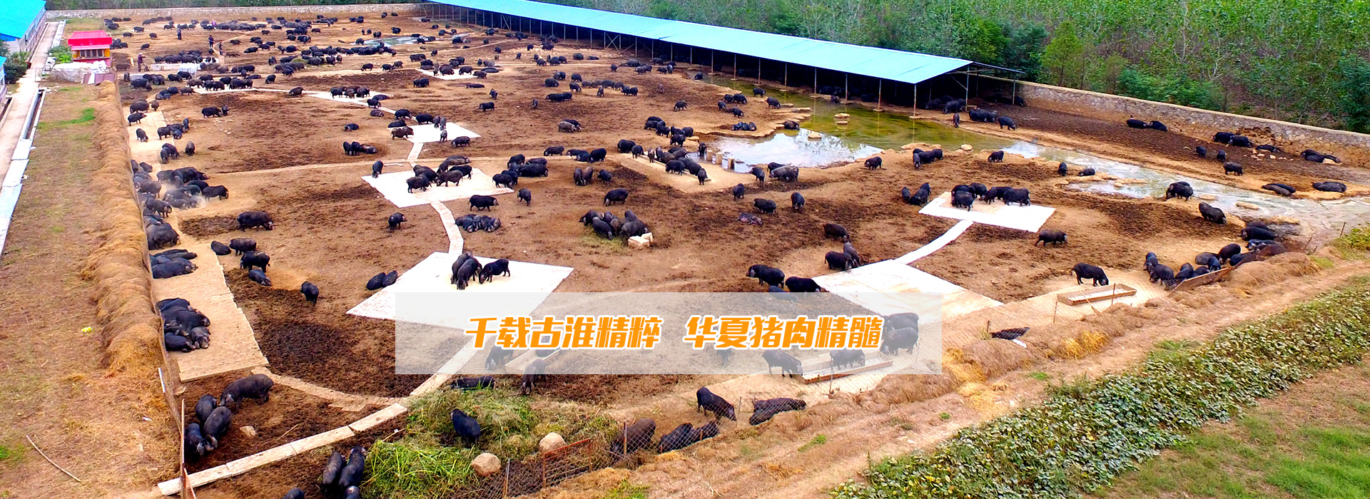 201903221446458437.jpg 201903221446458437.jpg